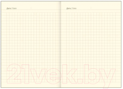 Изображение товара Записная книжка Greenwich Line Vision. Lovely leopard A6 / NA6_30800 (80л)