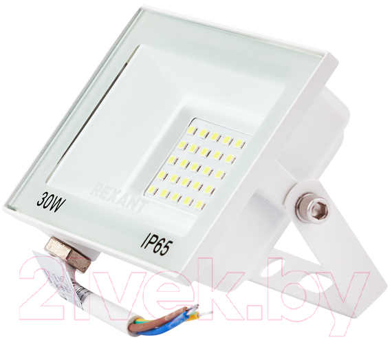 Прожектор Rexant 605-025
