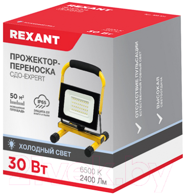 Прожектор Rexant 605-021