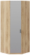 Шкаф ТриЯ Рико ТД-340.07.312 L угловой с зеркальной дверью левый (яблоня белуно/белый глянец) - 