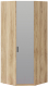 Шкаф ТриЯ Рико ТД-340.07.312 R угловой с зеркальной дверью правый (яблоня белуно/белый глянец) - 