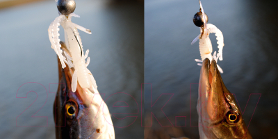 Мягкая приманка Lucky John Pro Series Hogy Shrimp / 140163-S21 (10шт)