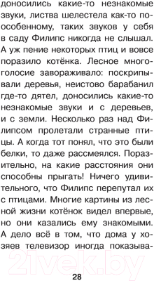 Книга АСТ Лесогория. Приключения котенка Филипса в сказочной стране (Самарский М.А.)