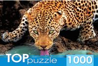 

Пазл Top Puzzle, Красивый леопард / ГИТП1000-2146