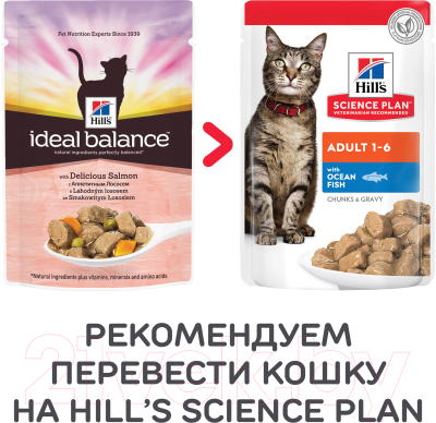 Влажный корм для кошек Hill's Ideal Balance Feline Adult Salmon & Vegetables (85г)