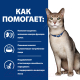 Миниатюра изображения товара Влажный корм для кошек Hill's Prescription Diet Kidney Care k/d Chicken (85г)