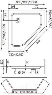 Душевой уголок RGW SA-81 Easy / 02038100-11