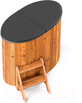 Купель Polarspa Standart термососна 68