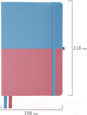 Записная книжка Brauberg Duo / 113432 (голубой/розовый)