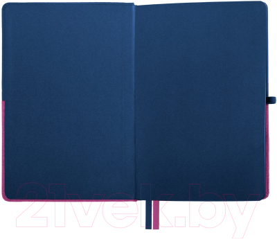 Записная книжка Brauberg Duo / 113434 (синий/розовый)