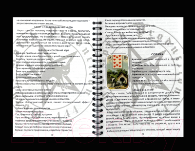 Набор для гадания Gothic Kotik Production Дневник гаданий Оракул Ленорман + наклейки + карты с книгой