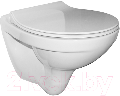 Изображение товара Унитаз подвесной с инсталляцией Керамин Санти R Slim + S-IN-MZ-VECTOR + P-BU-MOV/Blg/Gl