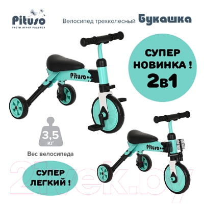 Трехколесный велосипед Pituso Букашка / AS003 (зеленый)