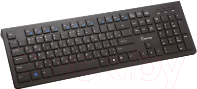 Изображение товара Клавиатура SmartBuy 206 / SBK-206AG-K (черный)