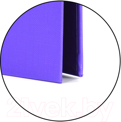 Изображение товара Папка-регистратор inФормат VP9050V