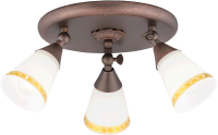 

Люстра Sfera Sveta, 86054/3CA BR