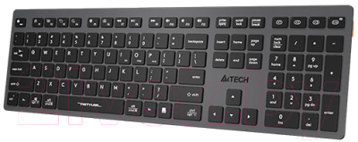 Клавиатура A4Tech Fstyler FBX50C (черный/серый)