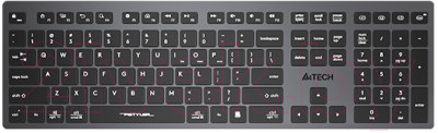 Клавиатура A4Tech Fstyler FBX50C (черный/серый)