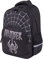 

Школьный рюкзак Brauberg, Dangerous Spider / 270612