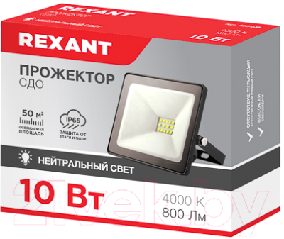 Прожектор Rexant 605-036