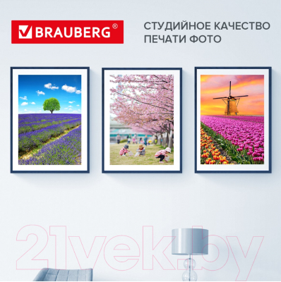 Фотобумага Brauberg Premium 260 г/м А4 20л / 364003 (суперглянцевая)