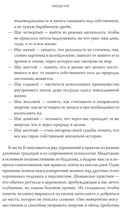 Книга МИФ Духовный интеллект. Как SQ помогает обойти внутренние блоки