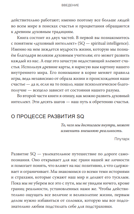 Книга МИФ Духовный интеллект. Как SQ помогает обойти внутренние блоки