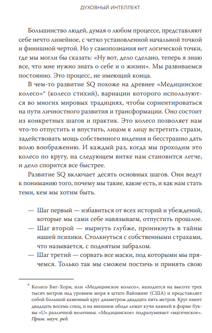 Книга МИФ Духовный интеллект. Как SQ помогает обойти внутренние блоки