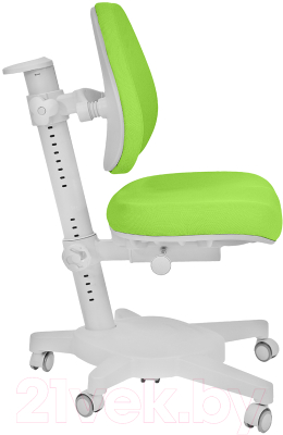 Парта+стул Anatomica Premium Granda Plus Armata (белый/серый/зеленый)