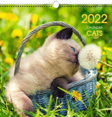Календарь настенный Listoff Домашние любимцы 2022 / КПКС2209