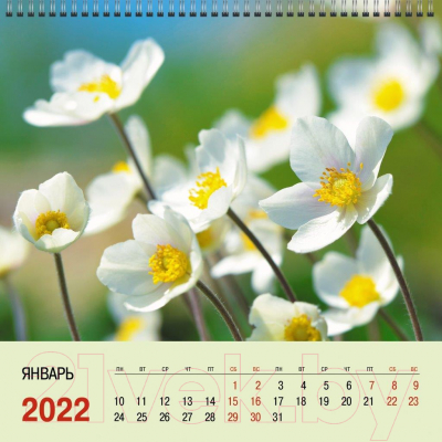 Календарь настенный Listoff Цветы 2022 / КПКС2223