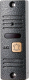 Вызывная панель CTV CTV-D10 Plus S (серебристый) - 