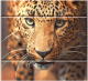 Панель ПВХ КронаПласт Unique Леопард (2700x250x8мм) - 