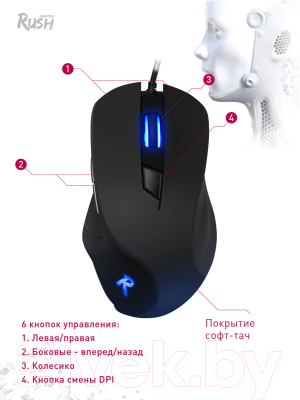 Мышь SmartBuy Rush / SBM-730G-K (черный + коврик)