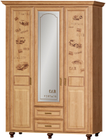 

Шкаф Яна, Ралли 863