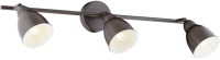 

Бра Sfera Sveta, B85980/3W WE