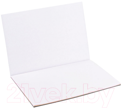 Набор бумаги для рисования Clairefontaine Acrylic A3 / 96309C (10л)