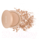 Миниатюра изображения товара Пудра компактная Paese Glowing Powder тон 13  (10г)