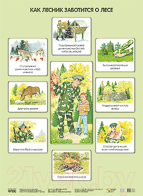 Развивающий плакат Мозаика-Синтез Как лесник заботится о лесе / МС10637