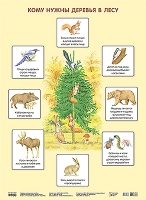 Развивающий плакат Мозаика-Синтез Кому нужны деревья в лесу / МС10638 - 