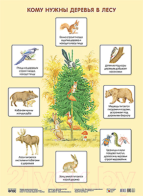 Развивающий плакат Мозаика-Синтез Кому нужны деревья в лесу / МС10638