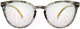 Готовые очки WDL Lifestyle LS018 +4.00 - 