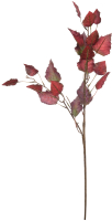 Искусственное растение Вещицы Осеннее настроение aj-152 (бургунди) - 