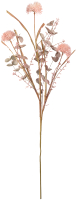 Искусственное растение Вещицы Репейник луговой HDF4 (розовый) - 