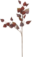 Искусственное растение Вещицы Осеннее настроение aj-153 (коричневый) - 