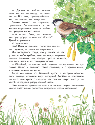 Книга АСТ Рассказы о природе / 9785171474683 (Пришвин М.М.)