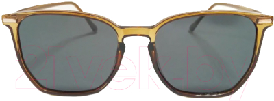 Очки солнцезащитные VOV Polarized 279