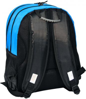 Школьный рюкзак Paso 13-162С (Blue) - вид сзади