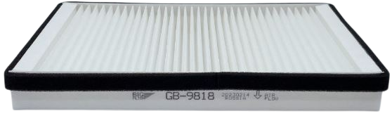 Салонный фильтр BIG Filter GB-9818