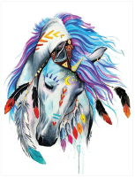 Набор алмазной вышивки Остров Сокровищ Индейская лошадь / 662403 - 
